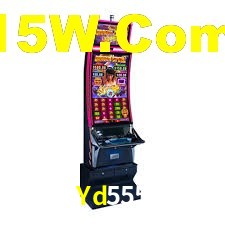 Live Casino Yd555